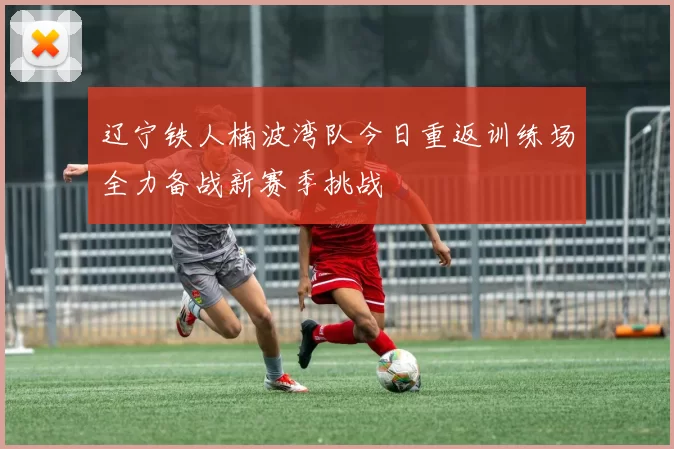 辽宁铁人楠波湾队今日重返训练场全力备战新赛季挑战